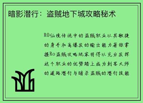 暗影潜行：盗贼地下城攻略秘术
